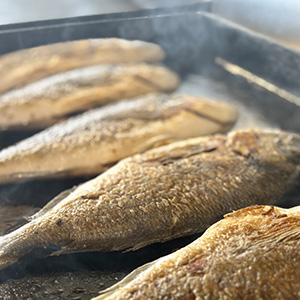 Dorades grillées à la plancha