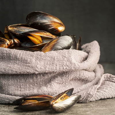 Moules prêtes à être vendues
