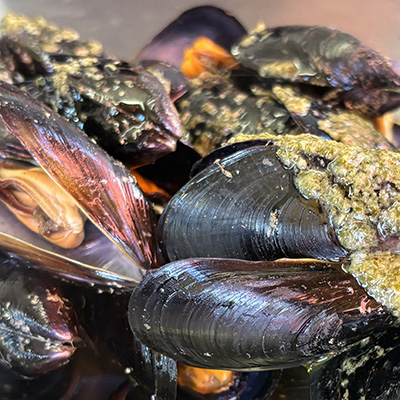 Plat de moules sauce persillée
